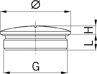 LP MS EX locking plug diagram