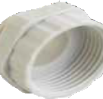 se