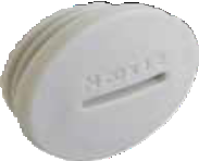 SLPM blind plug