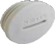SLPM blind plug