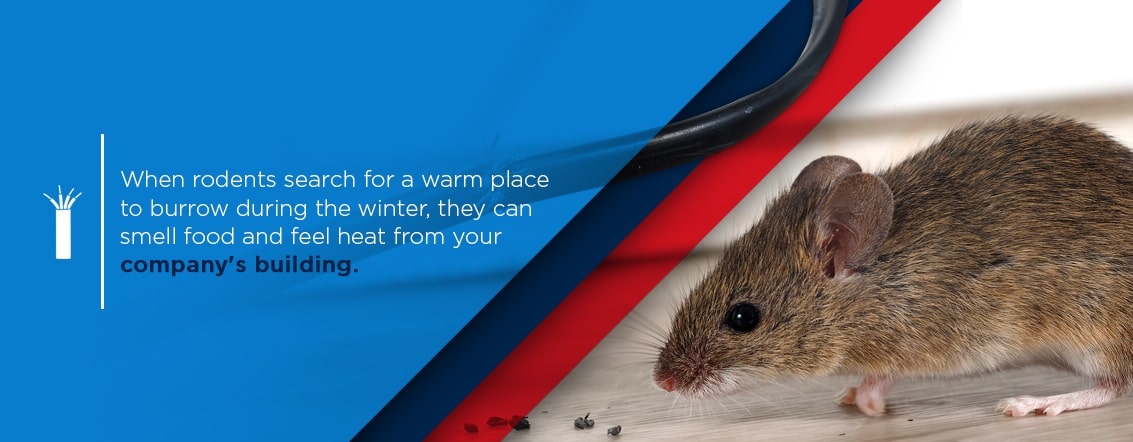 when rodents search for a warm place to burrow during the winter, they can smell food and feel heat from your company's building